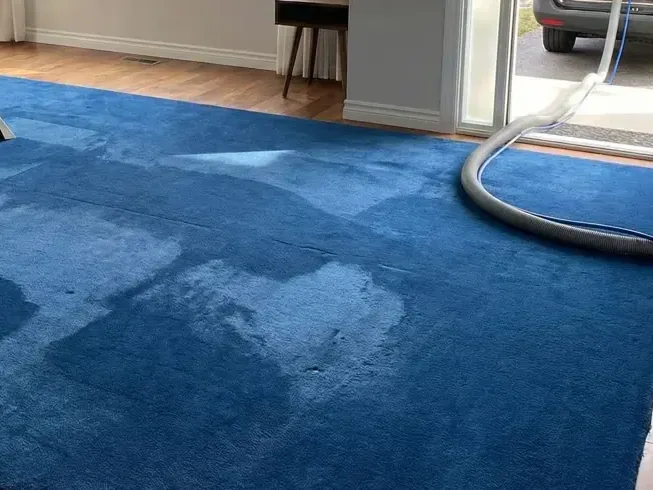 Extraction wand drawing water out of a soaked blue area rug on the floor